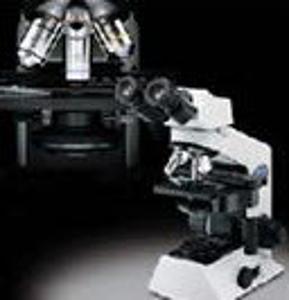 Microscope(Olympus) 이미지
